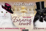 Pogostite.ru - В ТВК «Тишинка» проходит выставка «Бомонд Кошек 2019»