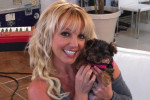 Pogostite.ru - Бритни Спирс покупает бриллианты своим собакам