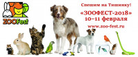 Pogostite.ru - ZooFest 2018  – выставка кошек, собак и декоративных животных для всей семьи состоится 10-11 февраля 2018 года