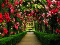 Pogostite.ru - Обнови свой сад 2018 – выставка для истинных поклонников садоводства