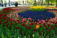 Pogostite.ru - Садовая радуга. Старт сезона 2018  – активное начало весеннего дачного сезона