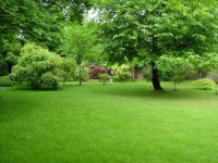 Pogostite.ru - Роскошь северного сада 2018 – выставка, раскрывающая все богатство и красоту природы