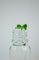 Pogostite.ru - Выставка «Природа будущего».