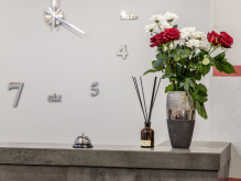 Моцарт (Mozart) Арт отель