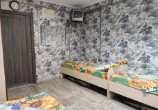 ПОДСОЛНУХ HOSTEL (Г. БАРНАУЛ, ЦЕНТР ГОРОДА) Двухместный номер Economy с балконом  двуспальная кровать (общая ванная комната)