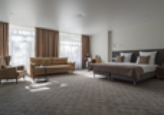 Лесная ласточка Двухместный номер Comfort  двуспальная кровать