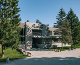 Лесная ласточка