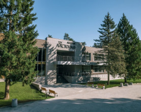 Лесная ласточка