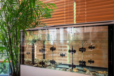 Pogostite.ru - Amber Shore Collection #13