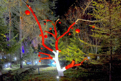 Pogostite.ru - VE ART Resort - Эко отель с конференц залами #35