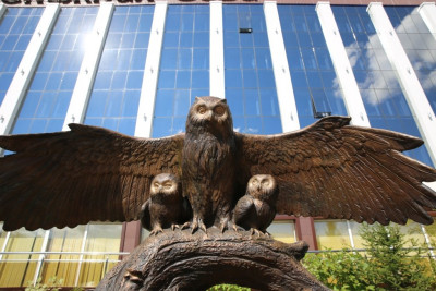 Pogostite.ru - Отель Снежная Сова #5