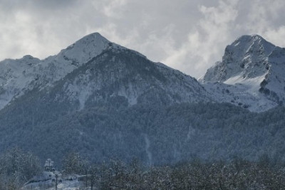 Pogostite.ru - GOLDEN TULIP ROSA KHUTOR #3