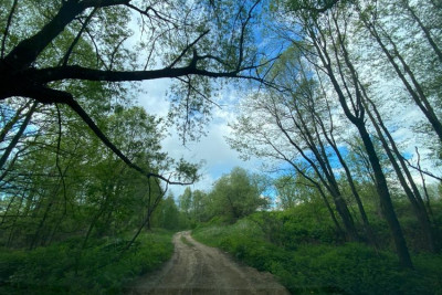 Pogostite.ru - Эко отель Касимовские Зори (на берегу реки Оки) #16