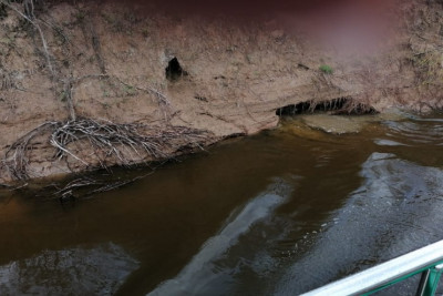 Pogostite.ru - Эко отель Касимовские Зори (на берегу реки Оки) #56