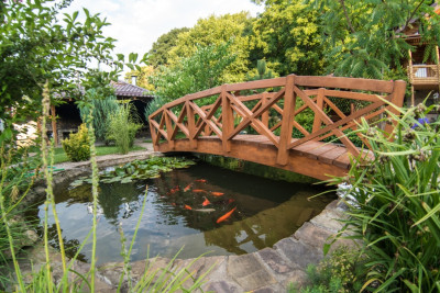 Pogostite.ru - Гостевой дом Рябиновые бусы (Отели с бассейном) #9