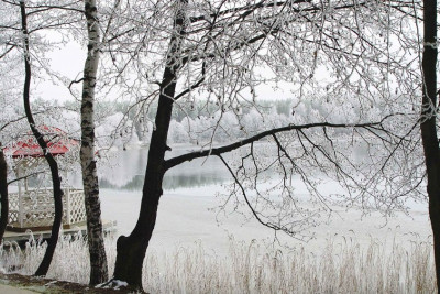 Pogostite.ru - ОЗЕРО БЕЛОЕ САНАТОРИЙ | Шатурский район, Дубасово | Санаторно-курортное лечение #41