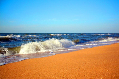 Pogostite.ru - МАНГО | Голубицкая | 1-я линия #6