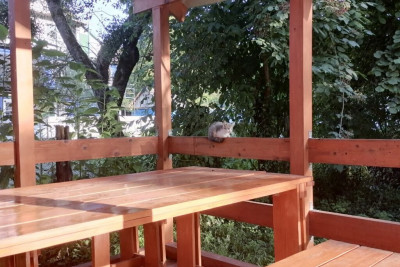 Pogostite.ru - Гостевой дом Хижина #4