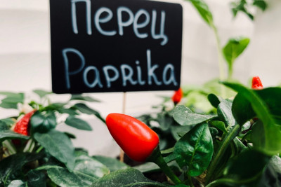 Pogostite.ru - Новотель Аэропорт Шереметьево - Novotel Sheremetyevo Airport #29