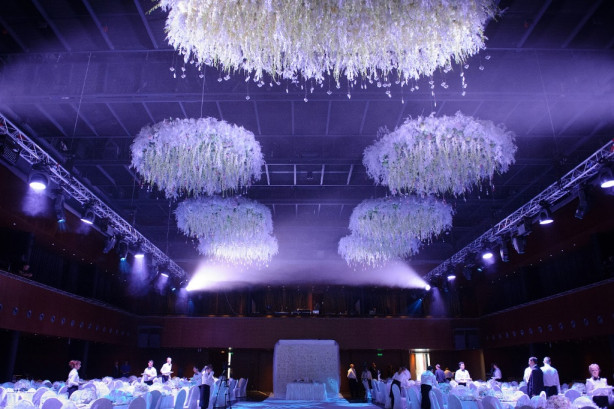 Pogostite.ru - КОНЦЕРТНЫЙ ЗАЛ БАРВИХА LUXURY VILLAGE #13