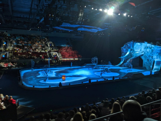 Pogostite.ru - ГЦКЗ &laquo;РОССИЯ&raquo; - ДВОРЕЦ СПОРТА &laquo;ЛУЖНИКИ&raquo; #15