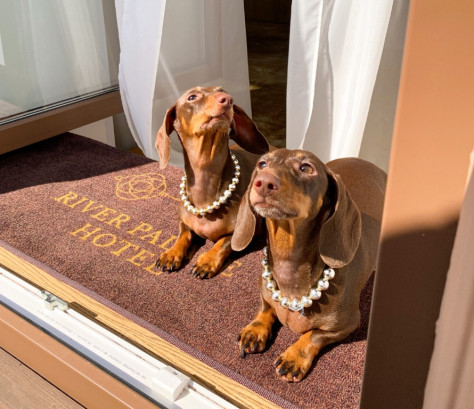 Pogostite.ru - RIVER PALACE HOTEL (бывш. КОРТЪЯРД МАРРИОТТ САНКТ-ПЕТЕРБУРГ ВАСИЛЬЕВСКИЙ) #29