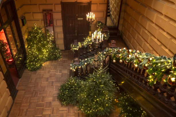 Pogostite.ru - ОСОБНЯК ЛЕМАН #47