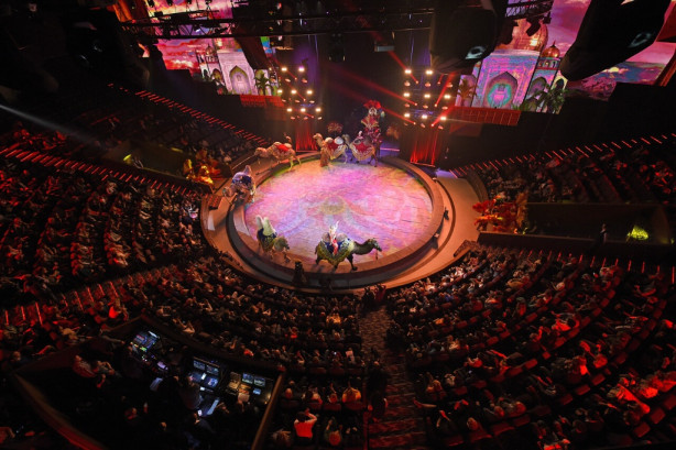 Pogostite.ru - VEGAS CITY HALL (ВЕГАС СИТИ ХОЛЛ) #20