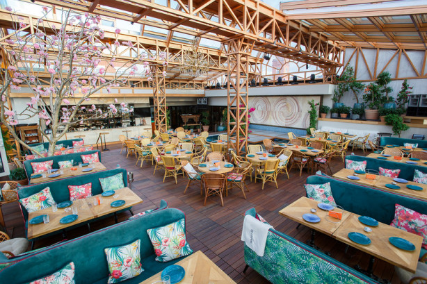 Pogostite.ru - ТЕРРАСА-ОРАНЖЕРЕЯ SOHO ROOMS #6