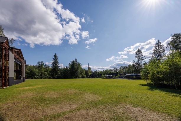 Pogostite.ru - THE BIRCH #45