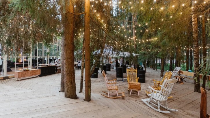 Pogostite.ru - THE BIRCH #49