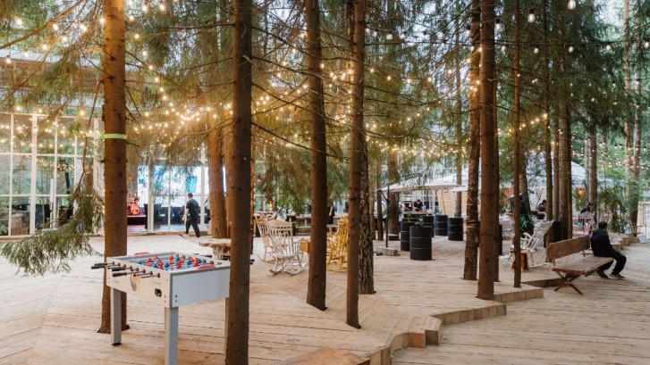 Pogostite.ru - THE BIRCH #48