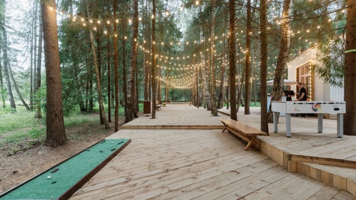 Pogostite.ru - THE BIRCH #50