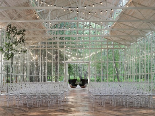 Pogostite.ru - THE BIRCH #6