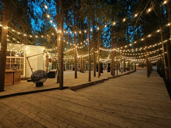 Pogostite.ru - THE BIRCH #54