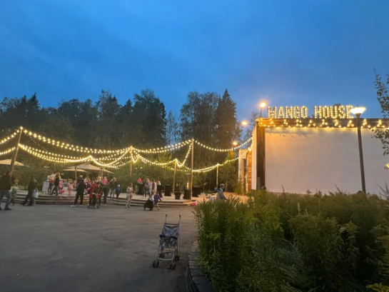 Pogostite.ru - THE BIRCH #71